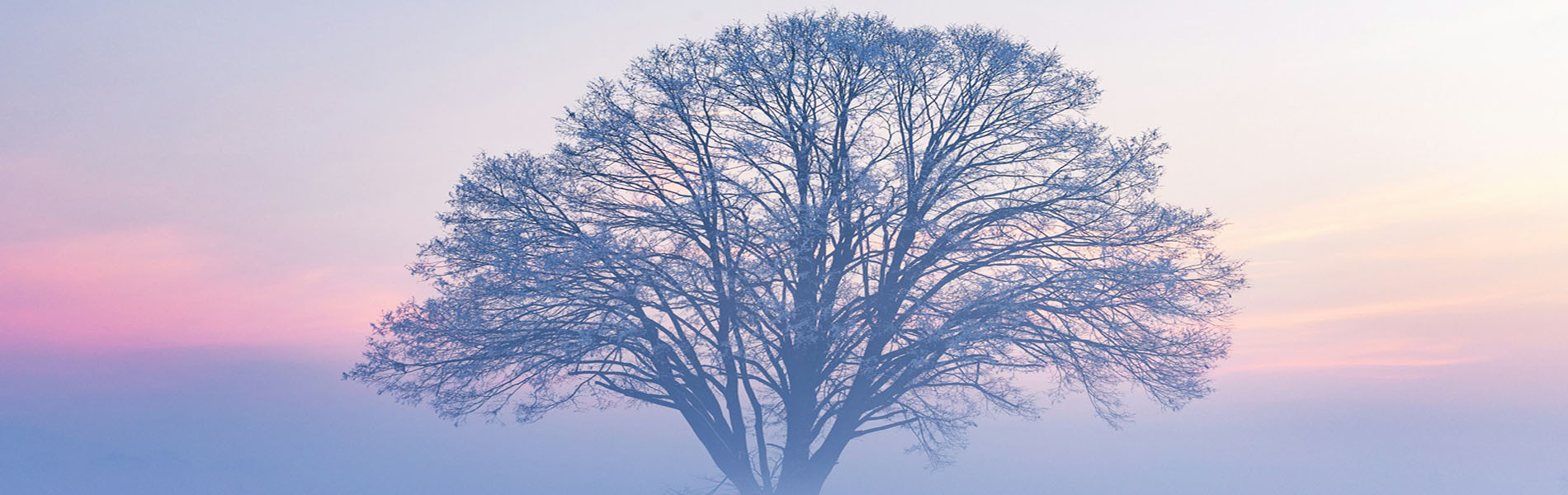 生体電流のながれを調節して体の不具合の改善を図ります。