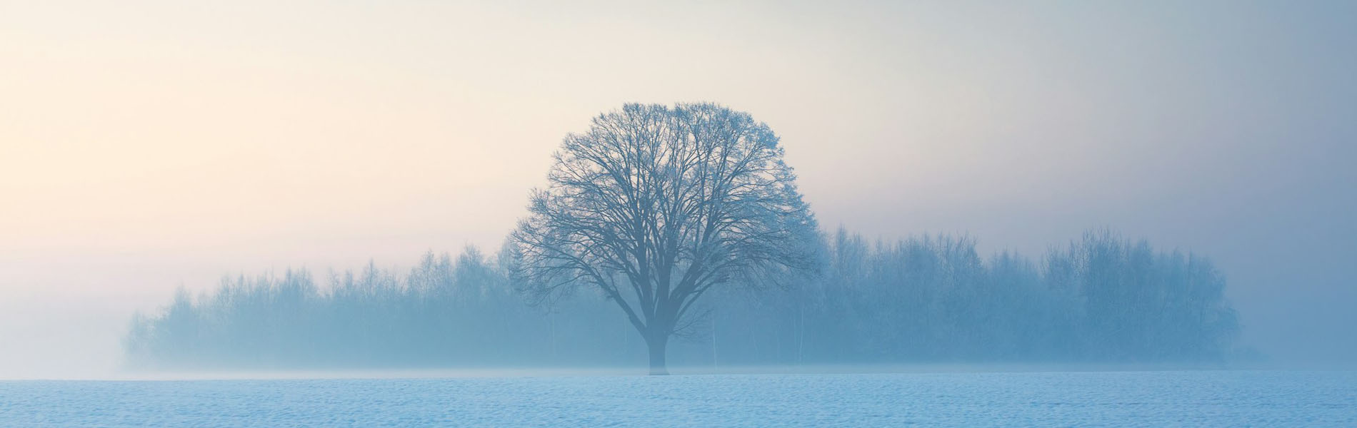 私たちは Vibration Mental Lab です。